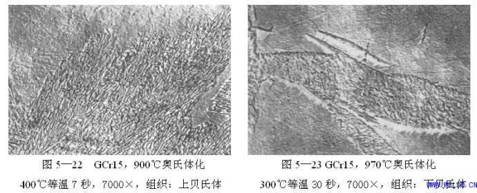 钢管的金相组织有哪些，怎么区分？(图5)