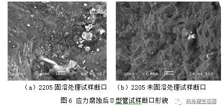 钛,SAF2205,304,316L换热管加工成U型管的应力腐蚀性能对比(图4)