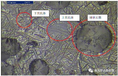 球墨铸铁 团絮+开花状石墨 100×