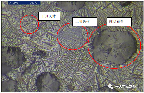 球墨铸铁 球状＋片状石墨 100×