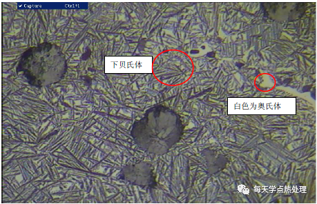 球墨铸铁 石墨 100×