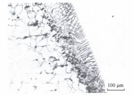 图６　焊接接头金相组织.bmp