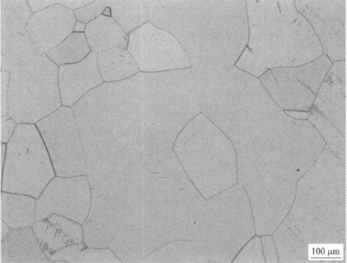 工业纯钛 金相图谱(图4)