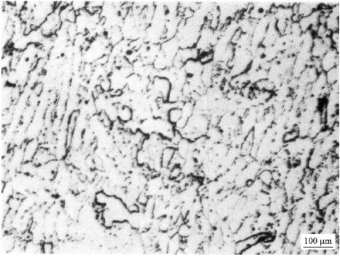 TA7钛合金  金相图谱(图2)