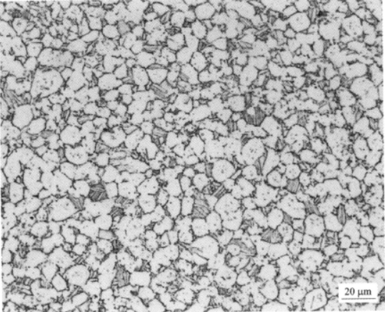 Ti600高温钛合金  金相图谱(图6)