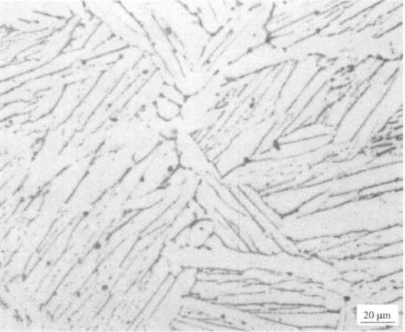 Ti600高温钛合金  金相图谱(图13)