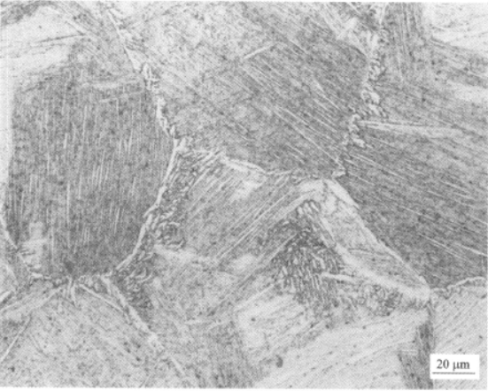 Ti600高温钛合金  金相图谱(图11)