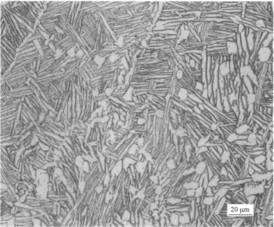 CT20低温钛合金  金相图谱(图3)