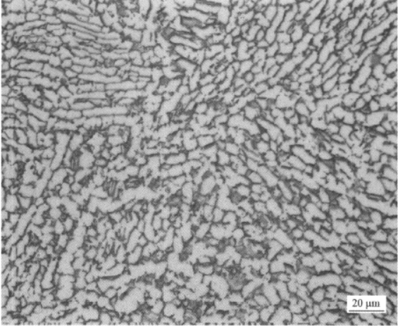 CT20低温钛合金  金相图谱(图4)