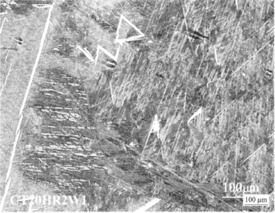 CT20低温钛合金  金相图谱(图5)