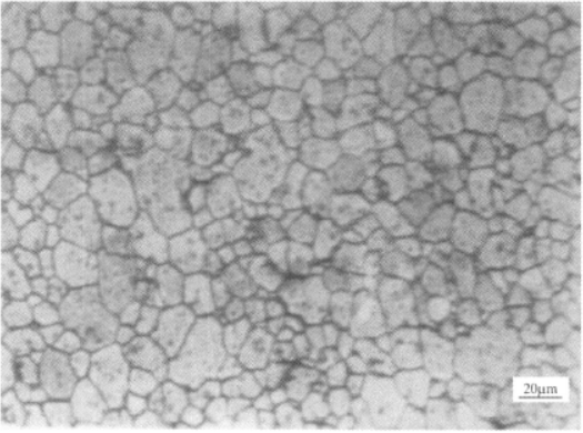 Ti230合金  金相图谱(图2)