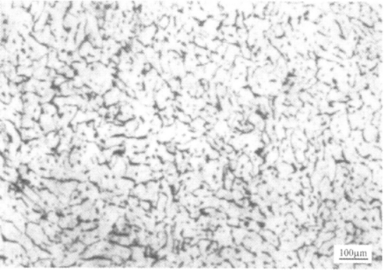 Ti230合金  金相图谱(图4)