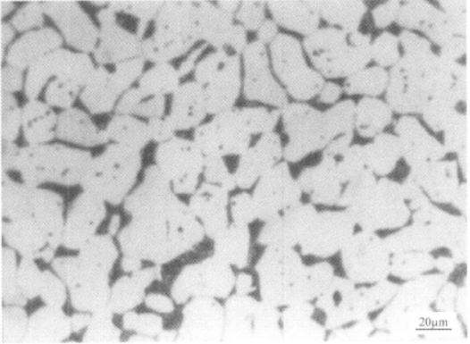 Ti230合金  金相图谱(图6)