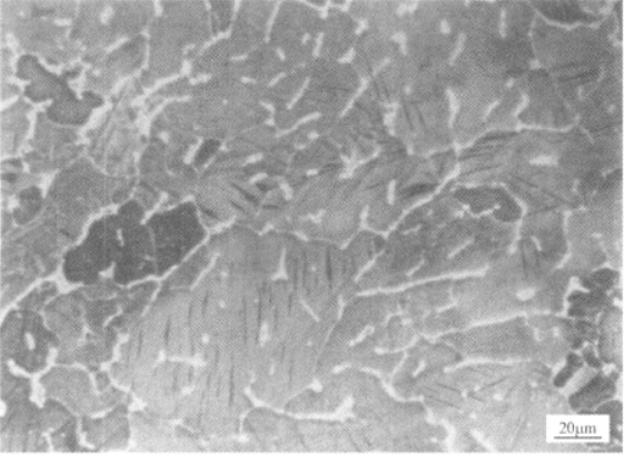 Ti230合金  金相图谱(图9)
