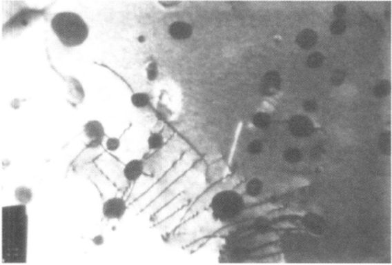 Ti230合金  金相图谱(图12)