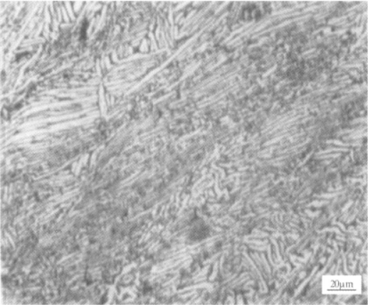 Ti75合金  金相图谱(图2)