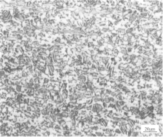  BT20合金  金相图谱(图8)