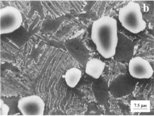 TP650颗粒增强钛合金  金相图谱(图7)