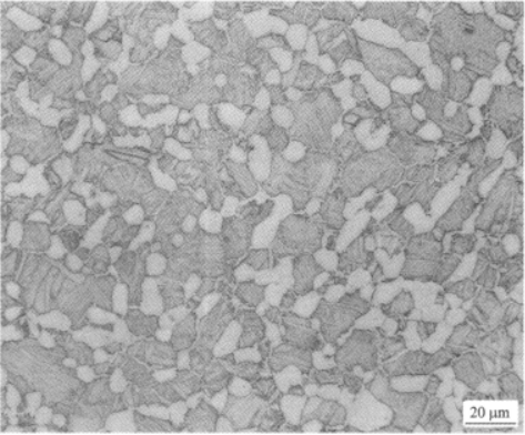 TC4钛合金   金相图谱(图5)