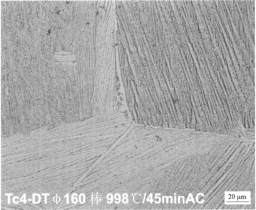 TC4钛合金   金相图谱(图7)