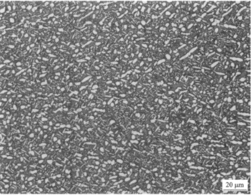 TC21高强高韧钛合金  金相图谱(图4)
