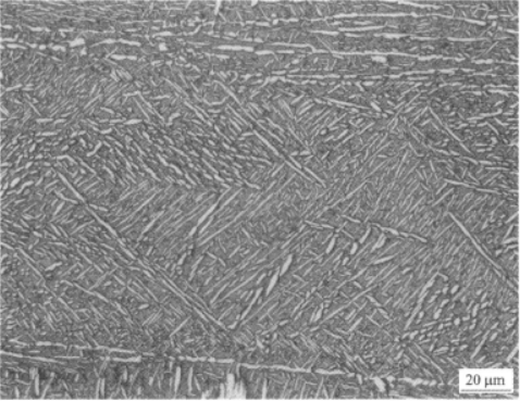 TC21高强高韧钛合金  金相图谱(图6)