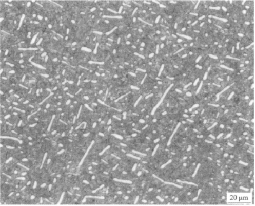 BT22高强钛合金  金相图谱(图4)