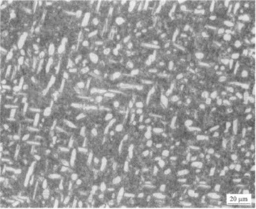 BT22高强钛合金  金相图谱(图3)
