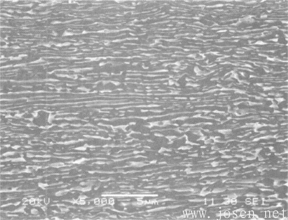 图2-46 SPZ合金板材加工态（纵向）：拉长的变形组织（SEM）.png