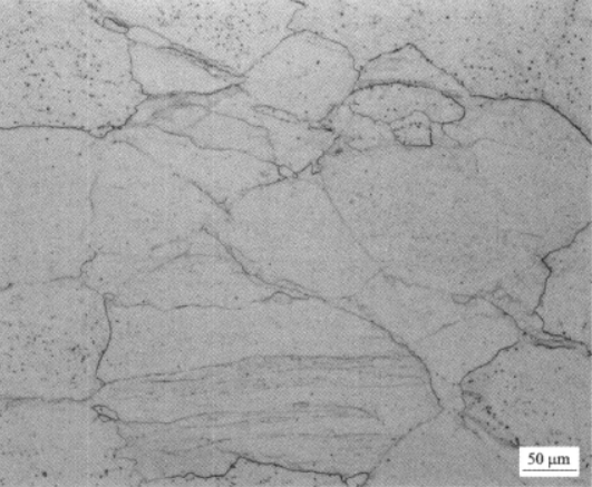 稳定β钛合金Ti40   金相图谱(图4)