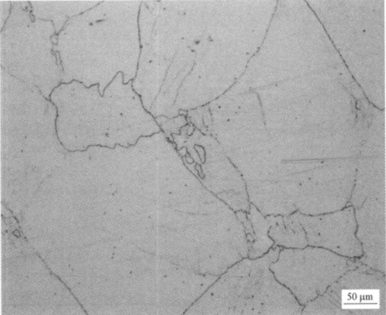 稳定β钛合金Ti40   金相图谱(图5)