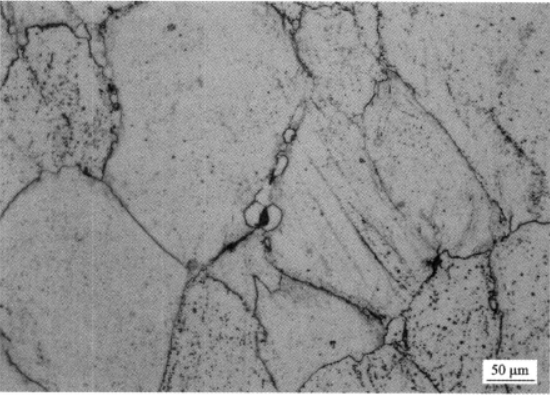 稳定β钛合金Ti40   金相图谱(图8)