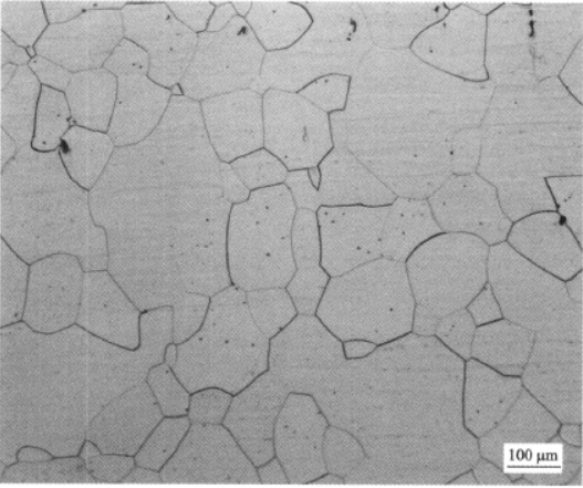 稳定β钛合金Ti40   金相图谱(图7)