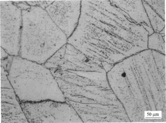 稳定β钛合金Ti40   金相图谱(图9)
