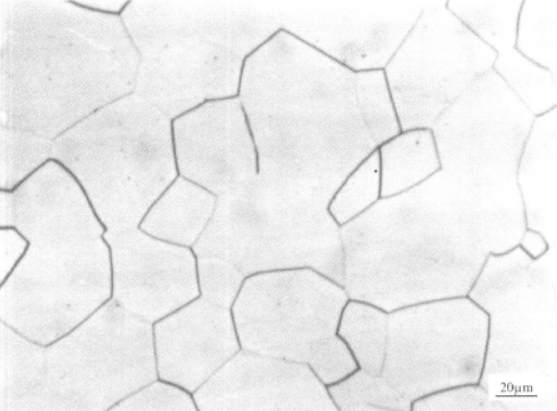 TB3合金  金相图谱(图2)
