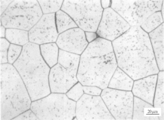 TB3合金  金相图谱(图3)