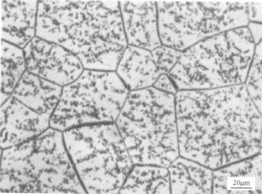 TB3合金  金相图谱(图4)