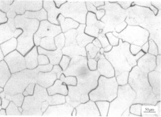 Ti-15-3合金  金相图谱(图2)