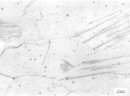 Ti-15-3合金  金相图谱(图6)