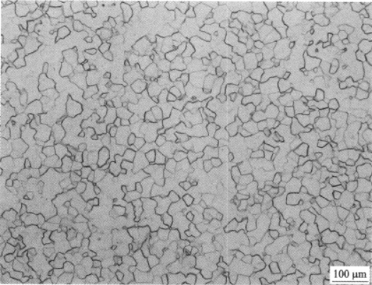 Ti26合金  金相图谱(图6)