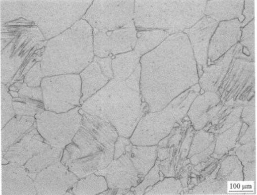 Ti26合金  金相图谱(图4)