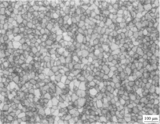 Ti26合金  金相图谱(图8)