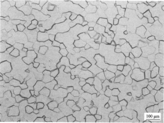 Ti26合金  金相图谱(图7)