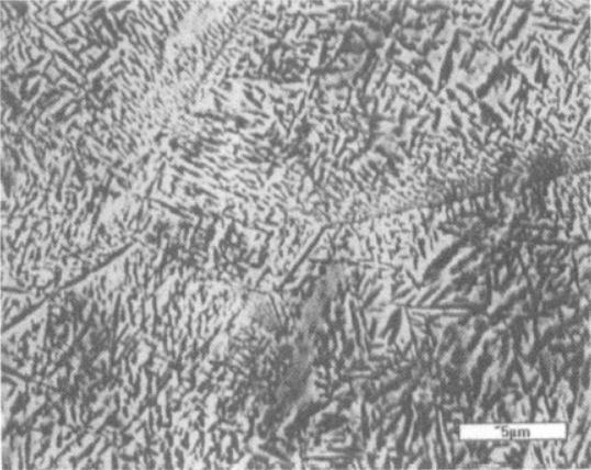 Ti26合金  金相图谱(图9)