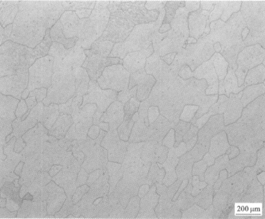 Ti1300合金  金相图谱(图4)