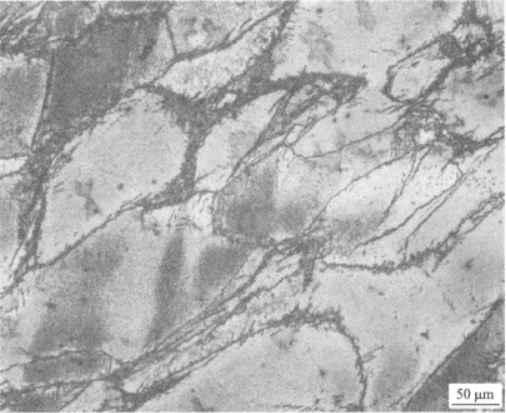 Ti1300合金  金相图谱(图3)