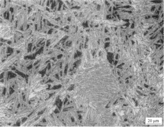 Ti1300合金  金相图谱(图7)