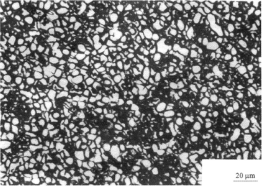 Ti3Al  金相图谱(图2)
