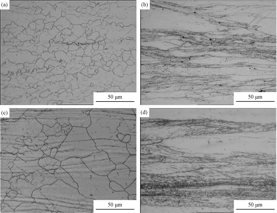 T23钢的热变形行为-图2 T23 钢在不同变形条件下的热变形组织.bmp
