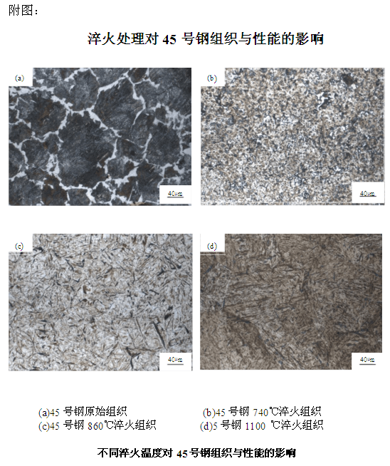 45钢淬火后油冷组织照片-3.jpg